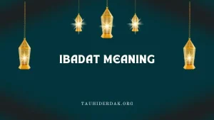 Ibadat (Ibadah) meaning in English in Islam