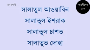 চাশতের-নামাজের-নিয়ম.-ইশরাকের-নামাজ-পড়ার-নিয়ম