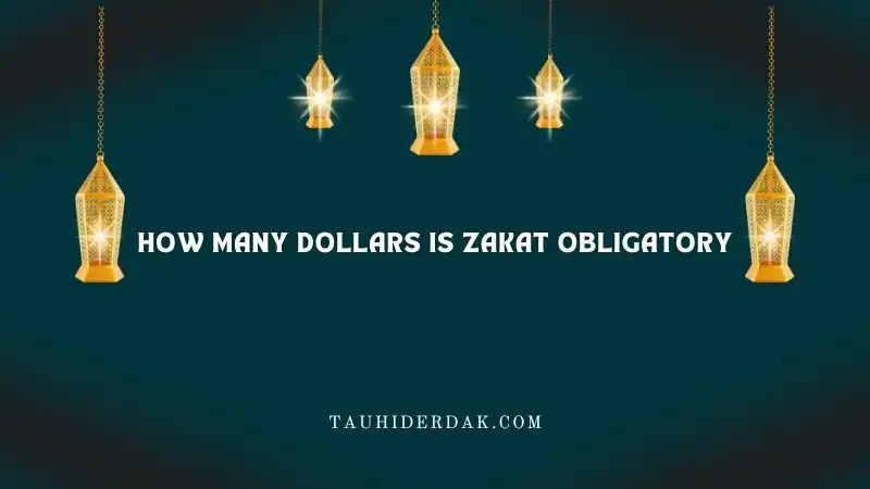 How many dollars is Zakat obligatory?