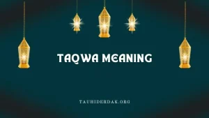 What is the meaning & importance of Taqwa in Islam?