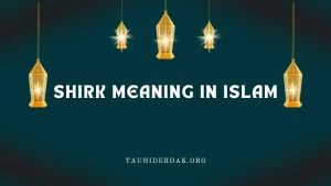 What is the meaning of Shirk in Islam? Who is Mushrik?
