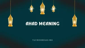 Meaning of al Ahad name of Allah in English